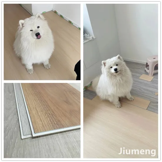 Plastic Product 4mm 5mm 6mm Waterproof Spc Vinyl Flooring for Living Room